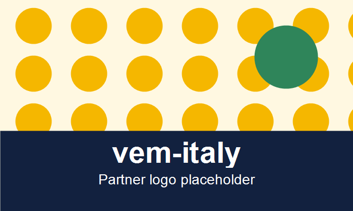 V.E.M. srls logo